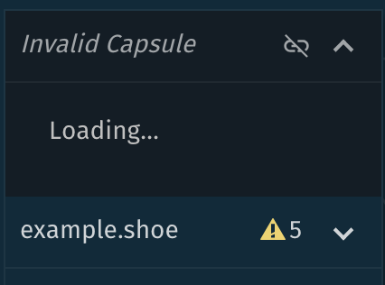 Invalid Capsule error